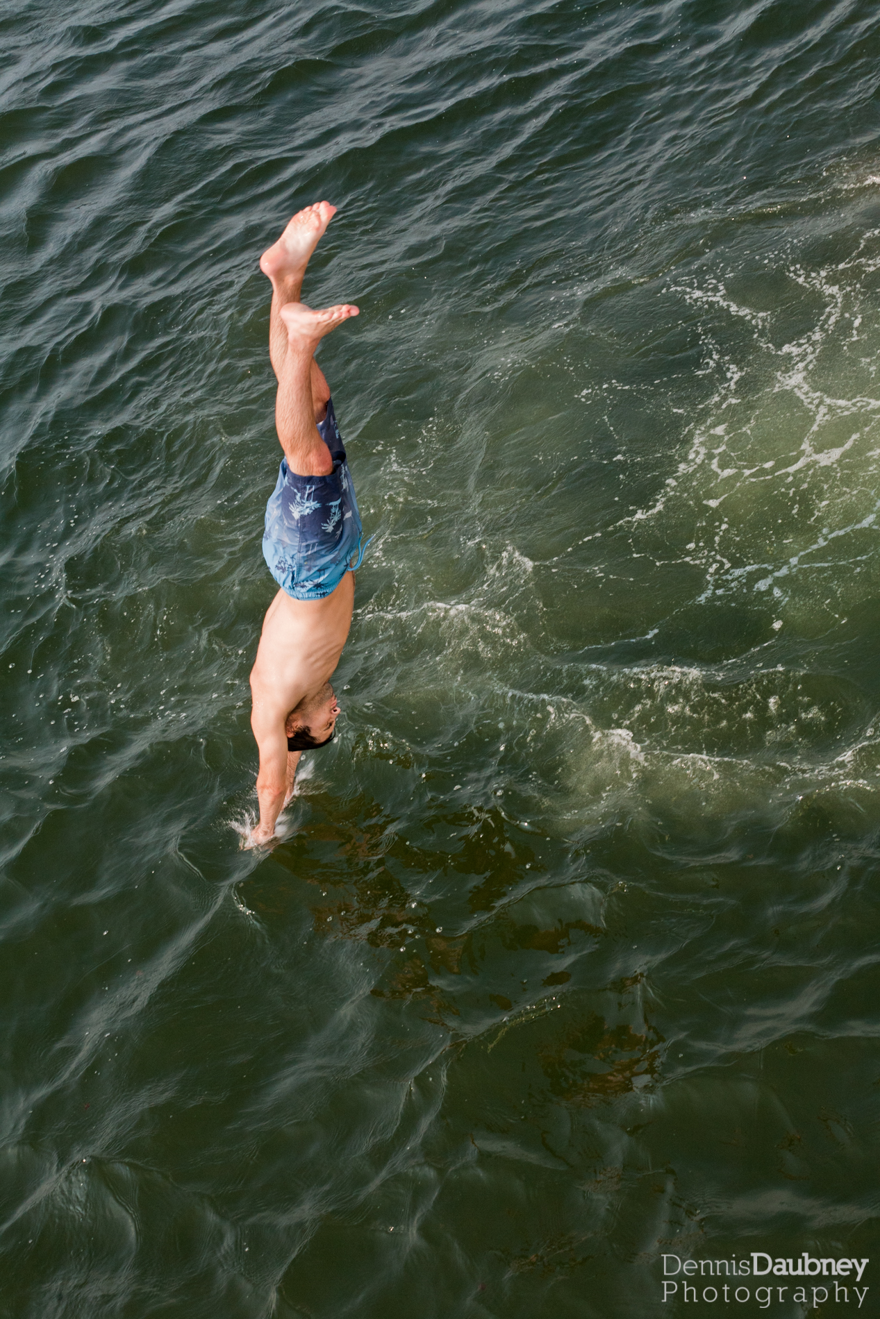 Ocean Dive